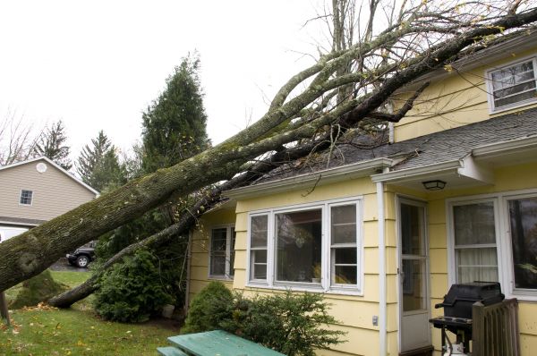 Hurricane Damage Repair in Lake Mary